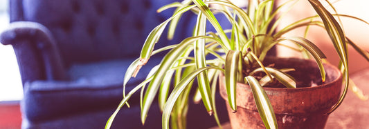 Manual traction vs Mechanical (Intermittent Traction)